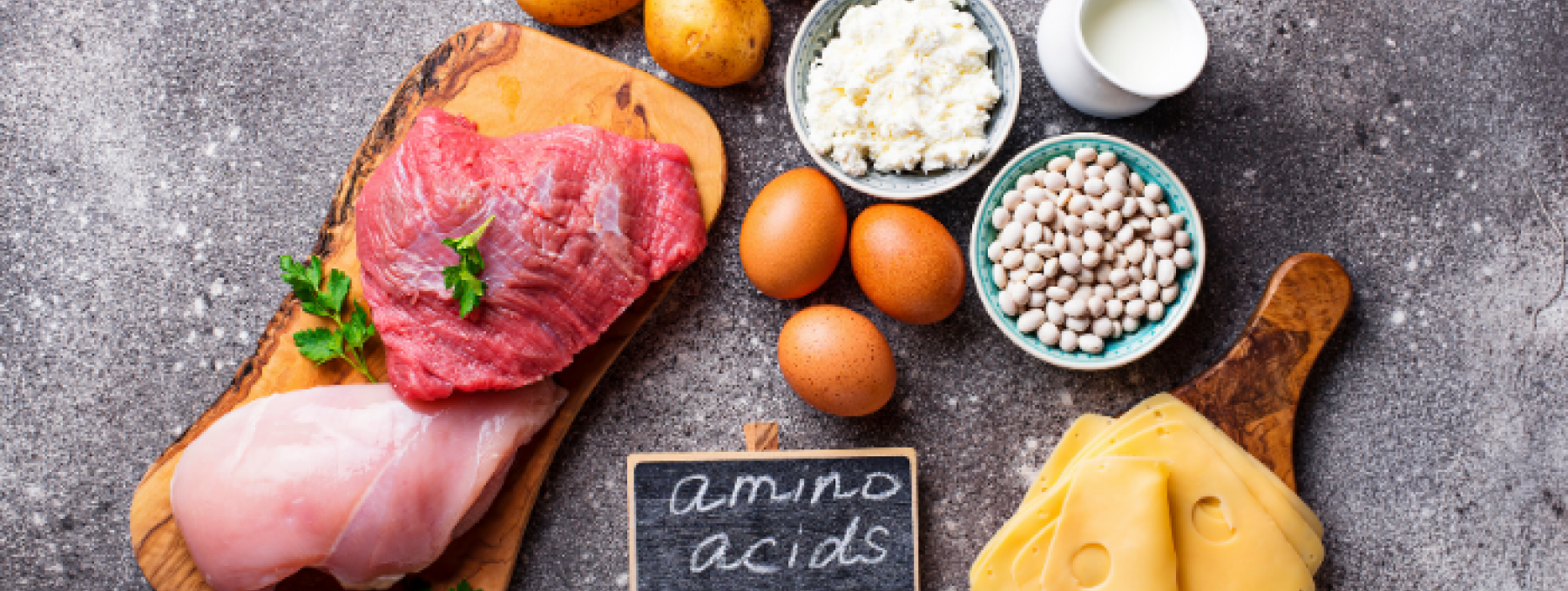 K čemu slouží aminokyseliny?
